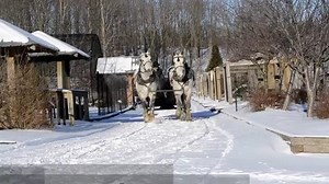 16K views · 155 reactions | Visit our animals from the back of a horse-drawn sleigh! We will be offering sleigh rides for the 2019 season. We are able to offer sleigh rides when there is 3 inches of snow on the ground. Please call 330-893-4200 to make an appointment for a sleigh ride. | The Farm at Walnut Creek | Facebook