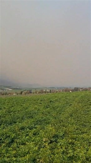 Rookwolke hang teen die berge in die Hexrivier-omgewing nadat 'n veldbrand van Ceres se kant af afgekom het en af in die Sanddrifkloof gebrand het. 'n Helikopter en verskeie brandspanne is ontplooi om die vlamme te blus. Verskeie brandspanne is ook op die brandlyn by die R46 by Boontjiesrivier, Wolseley, waar wind die vuur vinnig aandryf. Vandag se hoë temperature het dinge bemoeilik. Video: Melanie Esterhuyse | Standard Newspaper