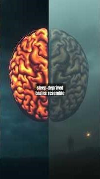 How Fatigue Leads to Bizarre Mistakes in Battle: The Science Behind Combat Errors