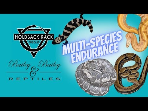HRP 242 - Does keeping multiple species help keep you in the hobby? with Tim Bailey