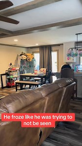 He froze like he was trying to not be seen. Sneaky cockatoo. Came home on my lunch and caught him. #escapeartist #escapecockatoo @SWLA Redneck @LegendofZion | The Ollie Bird Family