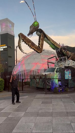 1.8K views · 19 reactions | ‘The Mantis'Las Vegas, NevadaLas Vegas's very own 40-foot-tall fire-spewing praying mantis. Container Park | Love Las Vegas | Facebook