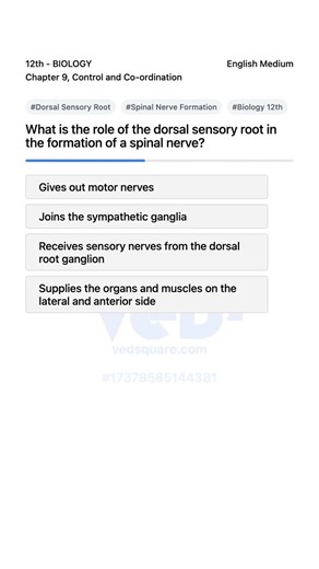 Dorsal Sensory Root Role in Spinal Nerve Formation Biology 12th