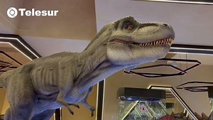 9.4K views · 159 reactions | Así luce el Museo del Meteorito en Progreso 秊練 | Telesur Yucatán | Facebook