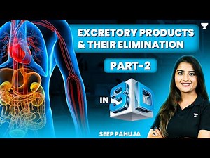 Excretory Products and Their Elimination in 3D | Part - 2 | NEET 2024 | Seep Pahuja