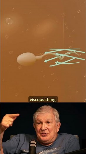Sperm Doesn't Technically "Swim"