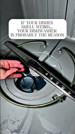 How to Clean Your Dishwasher Properly | Why Your Dishwasher Smells Bad + Easy Fix