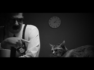 Simple Solution Cat Stain and Odor Cleaning Products | Chewy