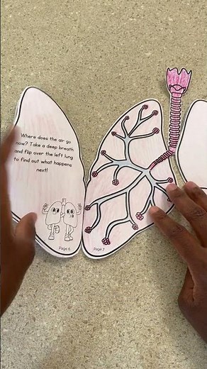 Lung-Shaped Respiratory System Book | Interactive Science Activity for Kids