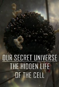 Stream Our Secret Universe: The Hidden Life of the Cell (2012): Find it on Netflix, Prime Video, Hulu & more