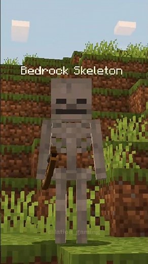 Java Skeleton vs Bedrock Skeleton #shorts