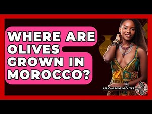 Where Are Olives Grown In Morocco? - African Roots And Routes