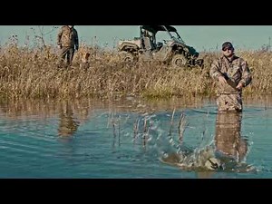 Dog Hunting Tip - Diving Ducks