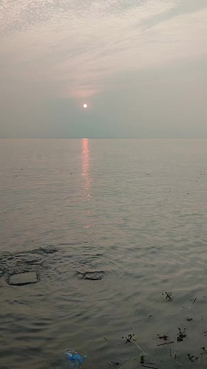 Purple ART Gallery on Reels