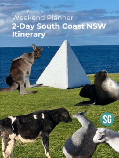 Looking for your next weekend escape from Sydney? Save this 2-day itinerary! 🚗✨ From wild kangaroos to the freshest seafood, this South Coast road trip has it all. Here is exactly where you need to go: 📍 Pebbly Beach First stop: meet the locals 🦘This stunning beach is famous for its wild kangaroos that often relax on the sand. 📍 Bodalla Dairy Shed Time for a sweet stop! This rustic, charming farm is filled with cute little animals and serves up super rich, fresh milk, yogurt, and the best ho