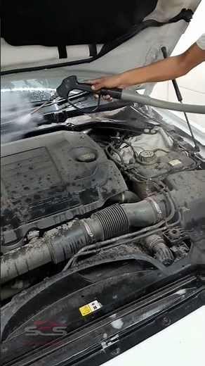 Engine Cleaning with Steam wash.