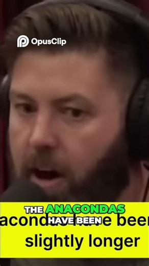 Python vs Anaconda Which Giant Snake Reigns Supreme