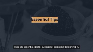 Outdoor Gardening Tips for Container Plants