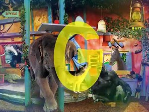 Zoboomafoo Animal Alphabet (2001)