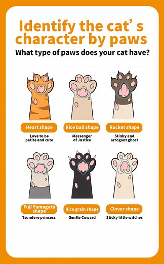 Cat Paw Shapes and Personality Traits Revealed