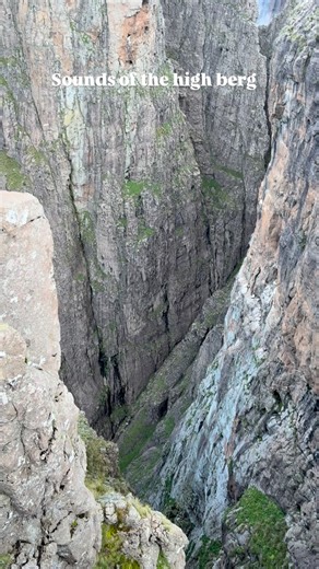 Late afternoon on day 3 of the Northen Traverse. For scale those are 2.5m wingspan cape vultures circling. They usually don’t make any noise but their babies are quite the opposite. #birds_captures #vultures #drakensberg #hike #intotheberg | Into The Berg