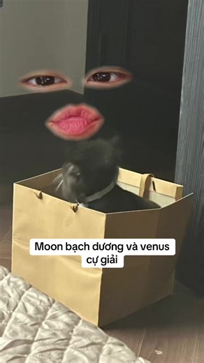 Xem tarot, bds -> ig: arian__111 #arian #ariantarot #tarot #tarotreading #chiemtinh