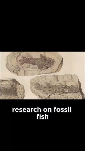 Meet John Louis Agassiz_ The Man Who Classified Ancient Fish!