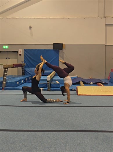 Partner Gymnastics Challenge: Try This Fun Handstand