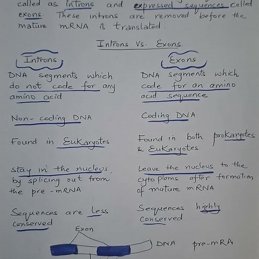 Cutting Up Genes: The Science of Introns & Exons