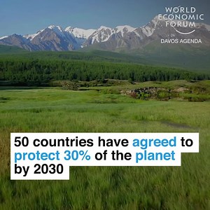 Protecting the planet is now the law. 📕 Read more: https://buff.ly/35FPFlq #DavosAgenda | World Economic Forum