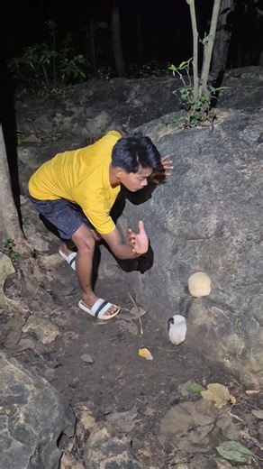 Luckily the one below didn't run away #cuteanimals #amazing