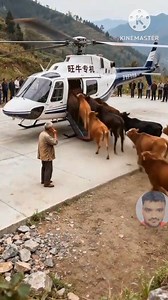 345K views · 38K reactions | AIMIM 10M 50K 12M 20M like comment...