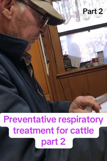 Farmer explains Preventive respiratory treatment for cattle on the farm #farm #cow #cattle #farmer