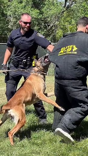 7.1K views · 112 reactions | It’s #NavyWeek in #LNK! #LPD hosted the...