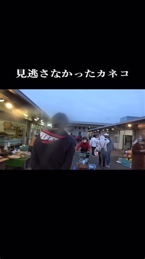 きまぐれのむっくん🪼 on Instagram: "#きまぐれクック #簡単レシピ #時短飯 #金子 #料理 #料理男子 #魚さばき #料理動画"