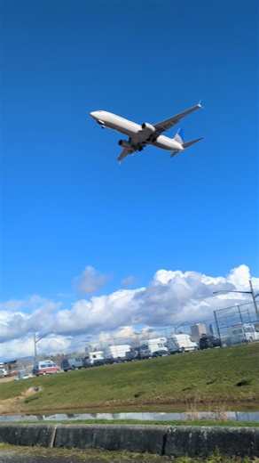 United Airlines Boeing-737-900 landing at Vancouver International Airport #yvrplanespotting