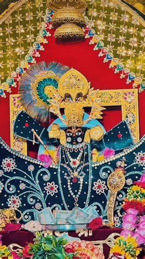 gadi Le Lo case sanvariya Seth