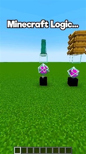 Eagle Head Yt | Minecraft Logic🤔 #minecraft #minecraftbuilds #minecraftpe #minecraftmemes #gaming #instagram #pcgaming #gamingoninstagram #gamer #xbox... | Instagram