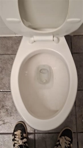 1990s Briggs Altima Syphon Jet Plugged