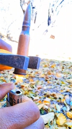 Time to shoot a bullet without a gun #aviation #pcphunters #shotgunammunition #rhythmfps #phoenixpoi