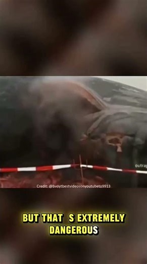 Why Dead Whales EXPLODE Like Bombs 😱🐋 (Shocking Truth) #ytshorts