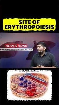 Erythropoiesis | Site & Stages | RBC Formation | Hematology | Lab Technician