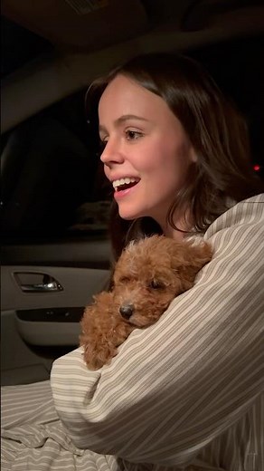 Picking up our new puppy 🐶 #cavapoo #puppy #family #vlog #ditl