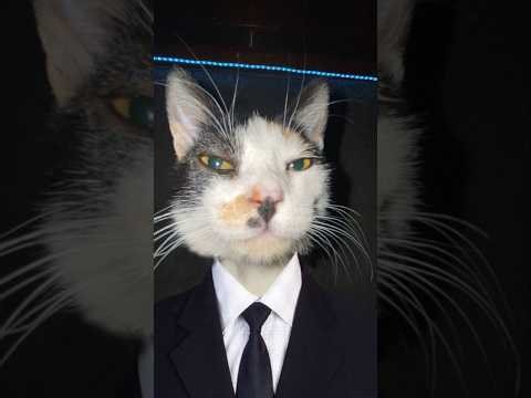 last legit mw19 player...