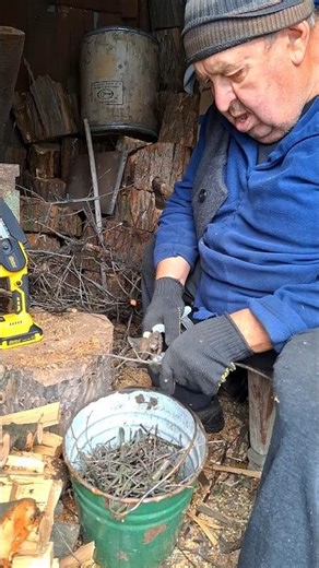 Cutting Dry Branches for Firewood with Pruning Shears #firewood #diy #gardeningtools #toolreview
