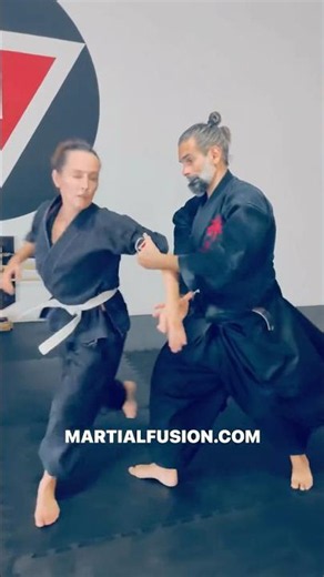 Aikido Martial Fusion Henkawaza Flow #martialarts