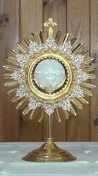 Come, Holy Spirit, send forth your light from Heaven! 🙏🙏🙏 Visit the Blessed Sacrament of the Altar.