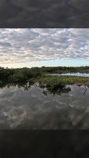 1.5K views · 61 reactions | Does the type of lure matter when fishing around different structures? YES!!! You may not be able to get certain types of lures into different places, so knowing when to switch and what kind of lure to use it’s critical. It can mean the difference between getting tangled in the trees or catching your PB!! #fishingtips #fishingtackle #tackletuesday | Salt Strong | Facebook
