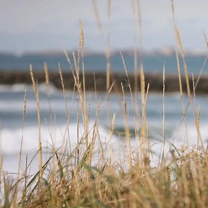 Westport, WA is the perfect winter escape with plenty of activities, delicious seafood, and epic storm watching. | Experience Westport