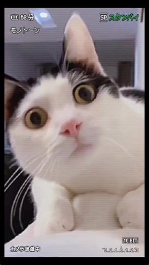 Rᴏᴡᴅʏ*Bᴀʙʏ (@rb593962)’s videos with original sound - Live Laugh Love